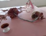 21st Century Sleepwalk at Caustic Coastal Salford